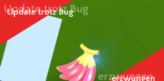 Aktuelle Version trotz Bug erzwungen