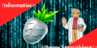 Die silberne Sananabeere