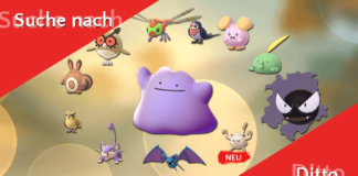 Die Suche nach Ditto