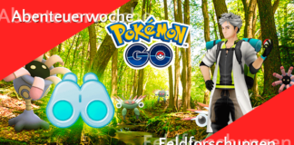 Feldforschungen in der Abenteuerwoche (Lösungen)