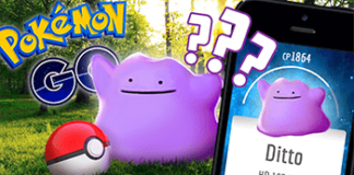 Gerüchte bestätigt, so fängst du Ditto
