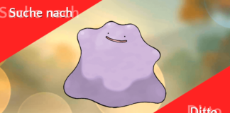 Ditto finden – Guide Ditto