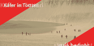 Safari-Zone in Tottori bringt unverhoffte Folgen mit sich!