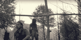 'The Walking Dead'-Star Scott Wilson ist tot