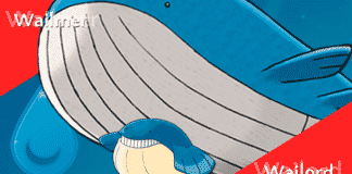 Wailmer und Wailord in Pokémon GO + Raid Guide