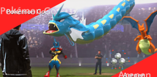 Was sind Arenen und wie funktionieren sie?