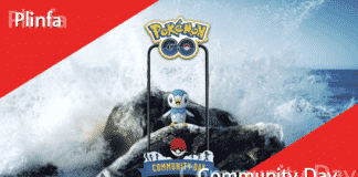 Vorbereitung auf den Plinfa Community Day