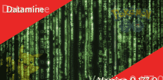 Pokémon GO Version 0.177.0 Datamine – PVP, Sticker, Okklusion Datamine