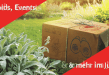 Pokémon GO im Juli 2024 – Events, Raids und mehr Juli