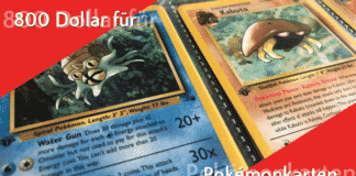 Dummer Junge gibt 800 Dollar für Pokémonkarten aus Pokémonkarten