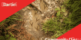 Dartiri Community Day Teaser Community Day