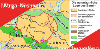 Berlins Mega-Nester sind verschwunden Mega-Nester