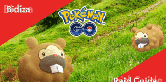 Bidiza Raid Guide Bidiza