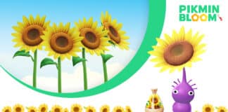 Riesenblume im August: Die Sonnenblume & Nektar Update Sonnenblumen im August bei Pikmin Bloom