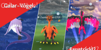 Galar-Vögel Fangtrick! Aberglaube oder Taktik? Galar-Vögel