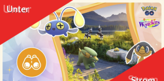 Feldforschungstag Unter Strom am 3. März Unter Strom