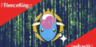 Live-Streamer FleeceKing Hackern zum Opfer gefallen FleeceKing