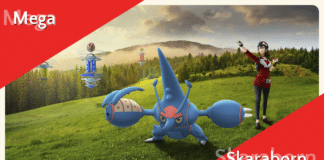 Mega-Skaraborn Raidtag am 13. April Mega-Skaraborn